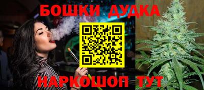 индика Старая Купавна