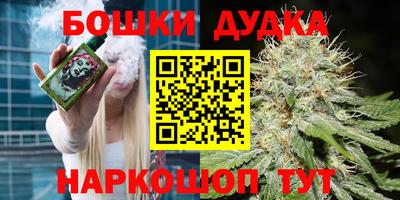 индика Старая Купавна